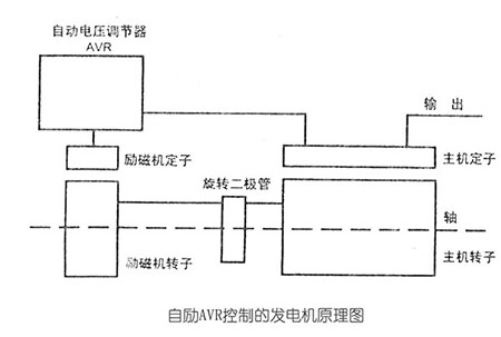 自勵AVR控制的發電機原理圖