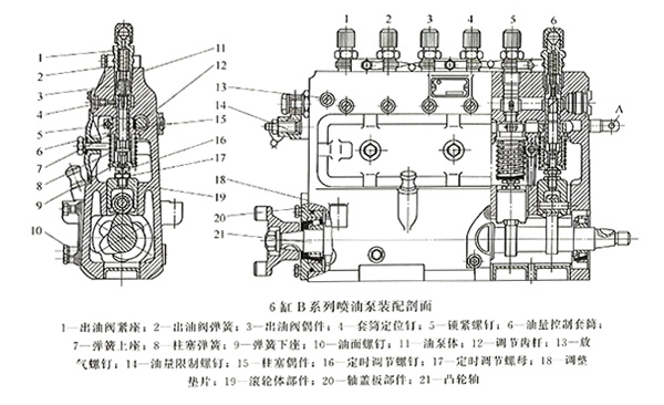 6缸B系列噴油泵裝配剖面